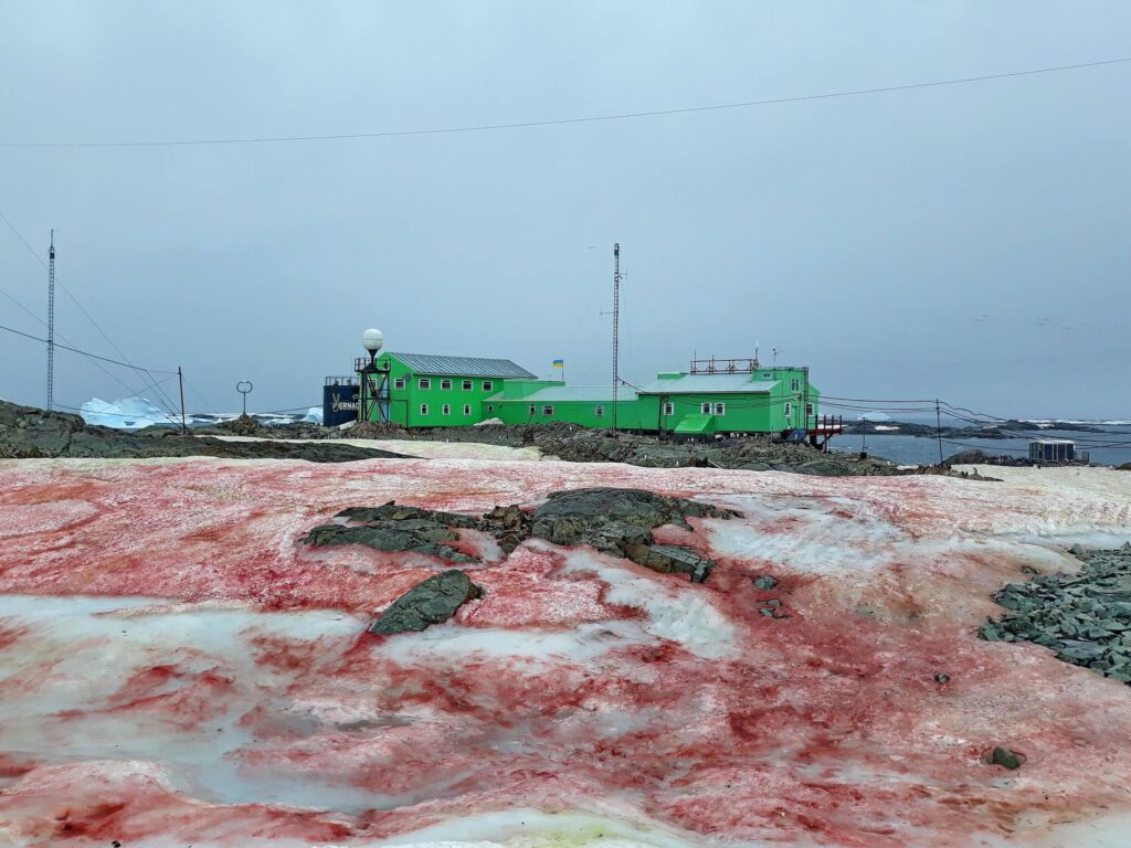 Red-stained snow with low-slung green buildings in the background