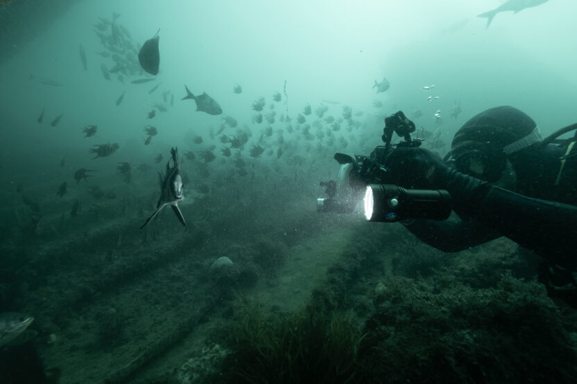 Statoil’s Australian plans and investor risk