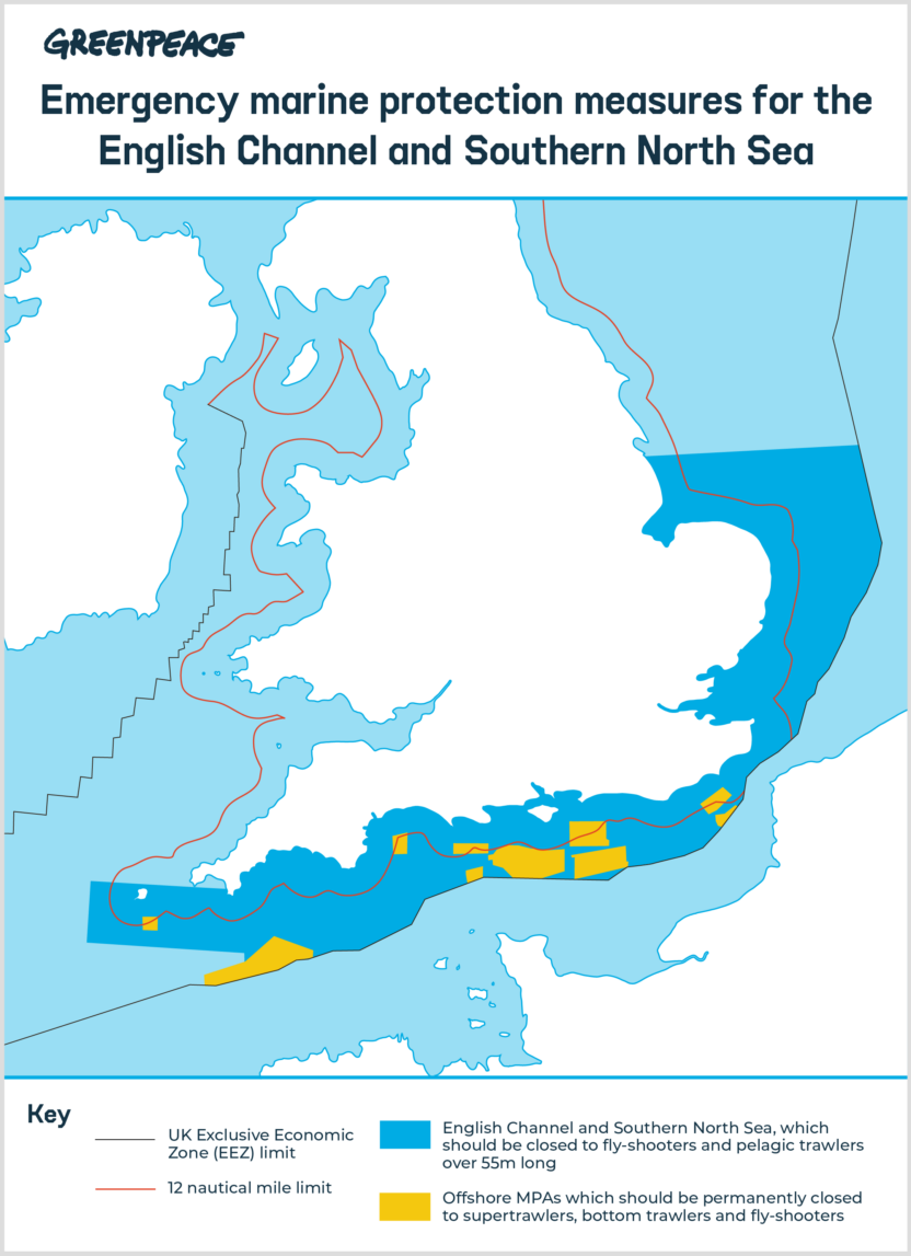A map of proposed protection measures around the UK's south coast. A solid shaded area running from the tip of Cornwall to just below the Humber Estuary shows the area where fly-shooters and pelagic trawlers over 55m long should be excluded. 10 irregularly-shaped yellow blocks show offshore MPAs, with a notable cluster around the Isle of Wight. These should be permanently closed to supertrawlers, bottom trawlers and fly-shooters.