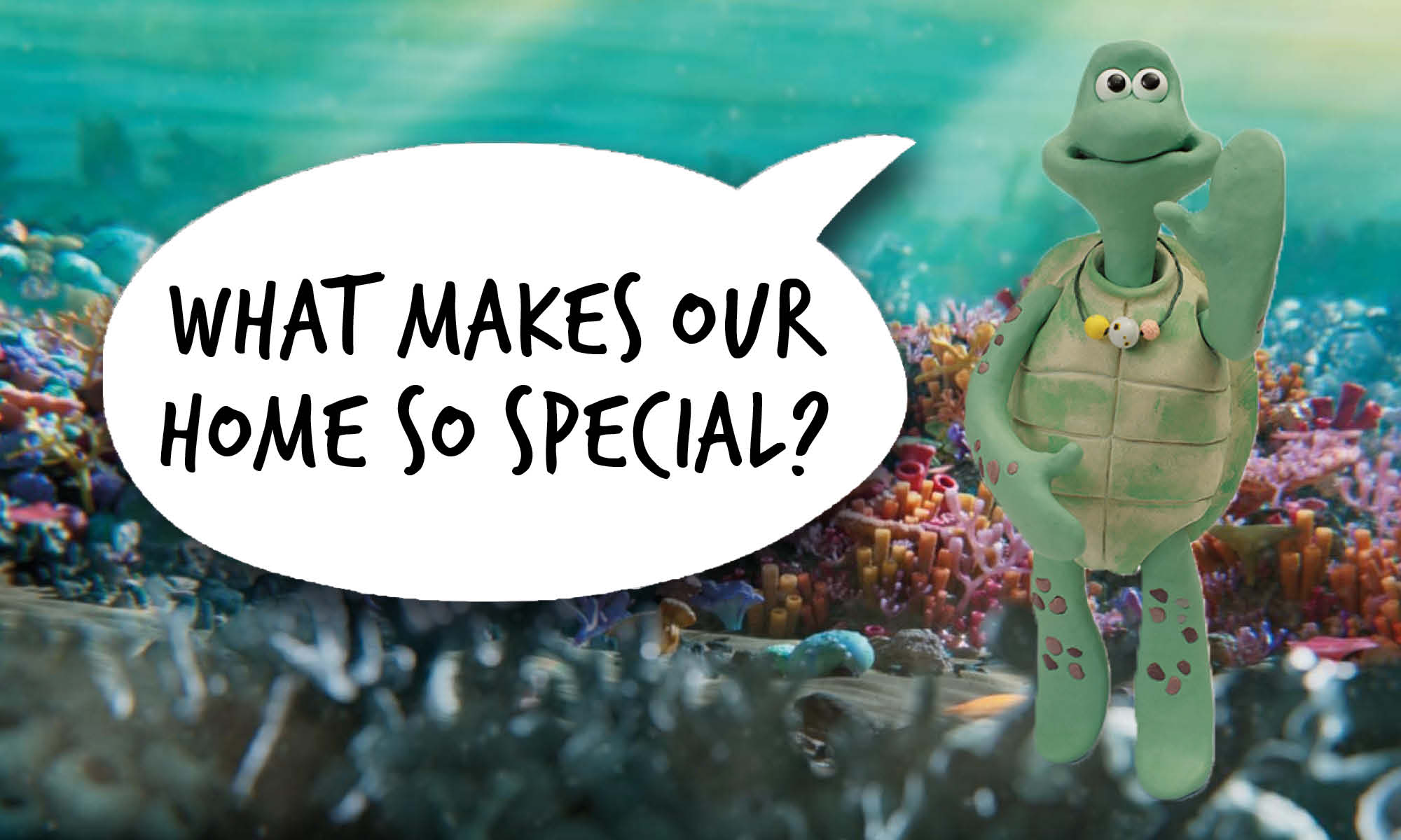 Adult female cartoon turtle waves at the camera. Speech bubble reads 'What makes our home so special?'