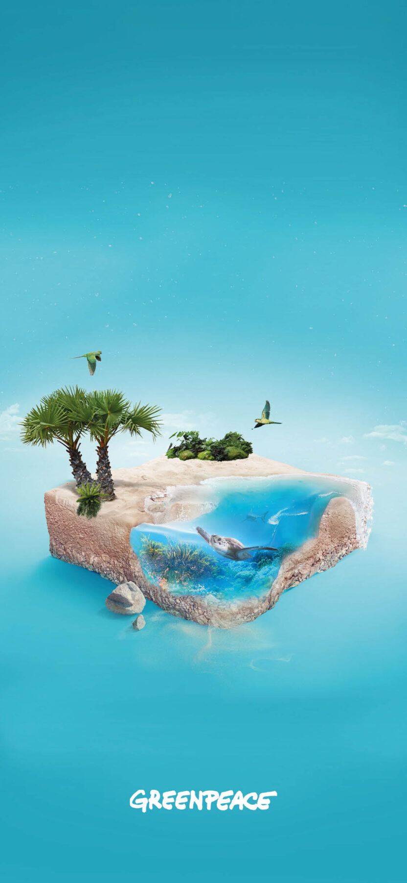 Portrait phone wallpaper, showing a beautiful 3D illustration of a slice of the Atlantic Ocean, used to represent Greenpeace's Atlantic Ocean virtual gift. The water is a tropical blue, and swimming in the water is a large turtle. There is reef-like vegetation under water, and tropical vegetation on the land. Two green tropical birds are flying overhead.