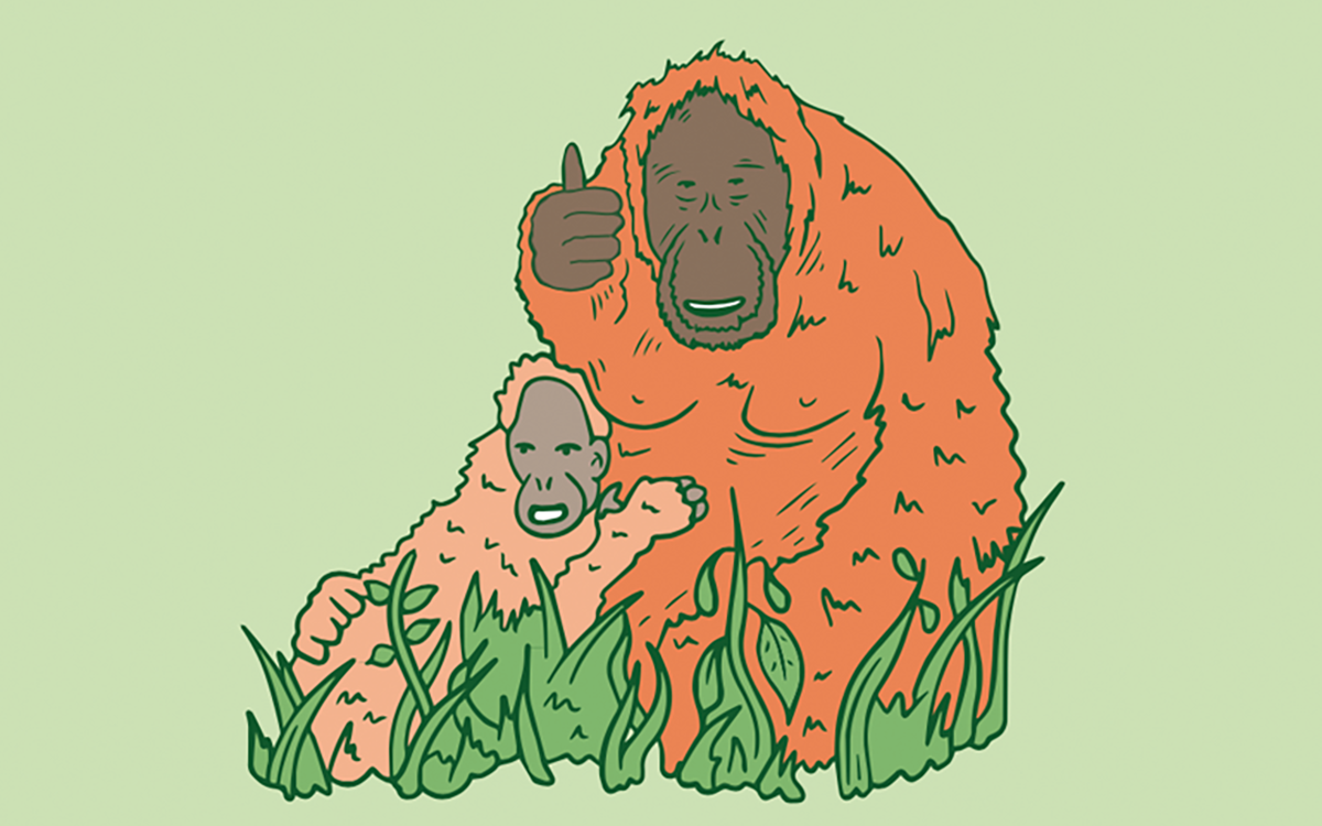 Illustration of an orangutan with a baby. It's giving a thumbs up to the camera and looks slightly unhinged