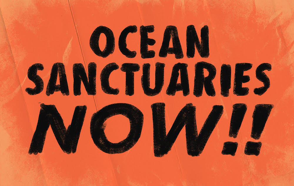 An orange placard with bold black text reading 'OCEAN SANCTUARIES NOW!!'