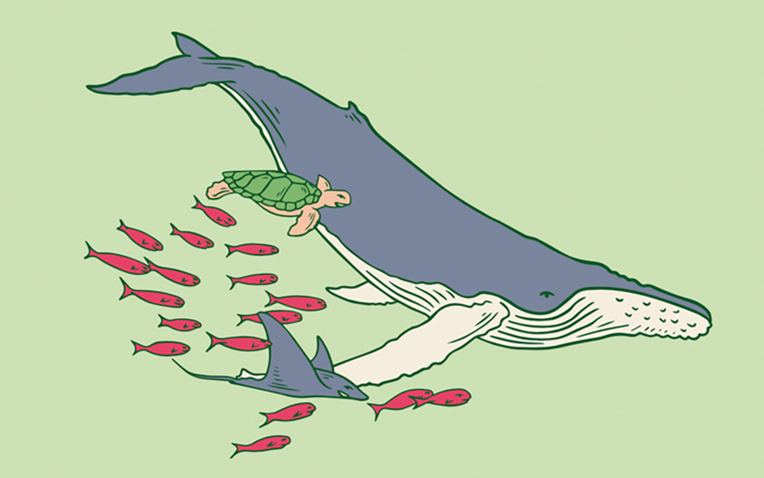 Illustration of a whale, turtle, ray and fish swimming together