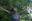 In a lush green woodland, a young woman in a 'protect what you love t-shirt' spreads her arms wide and smiles.