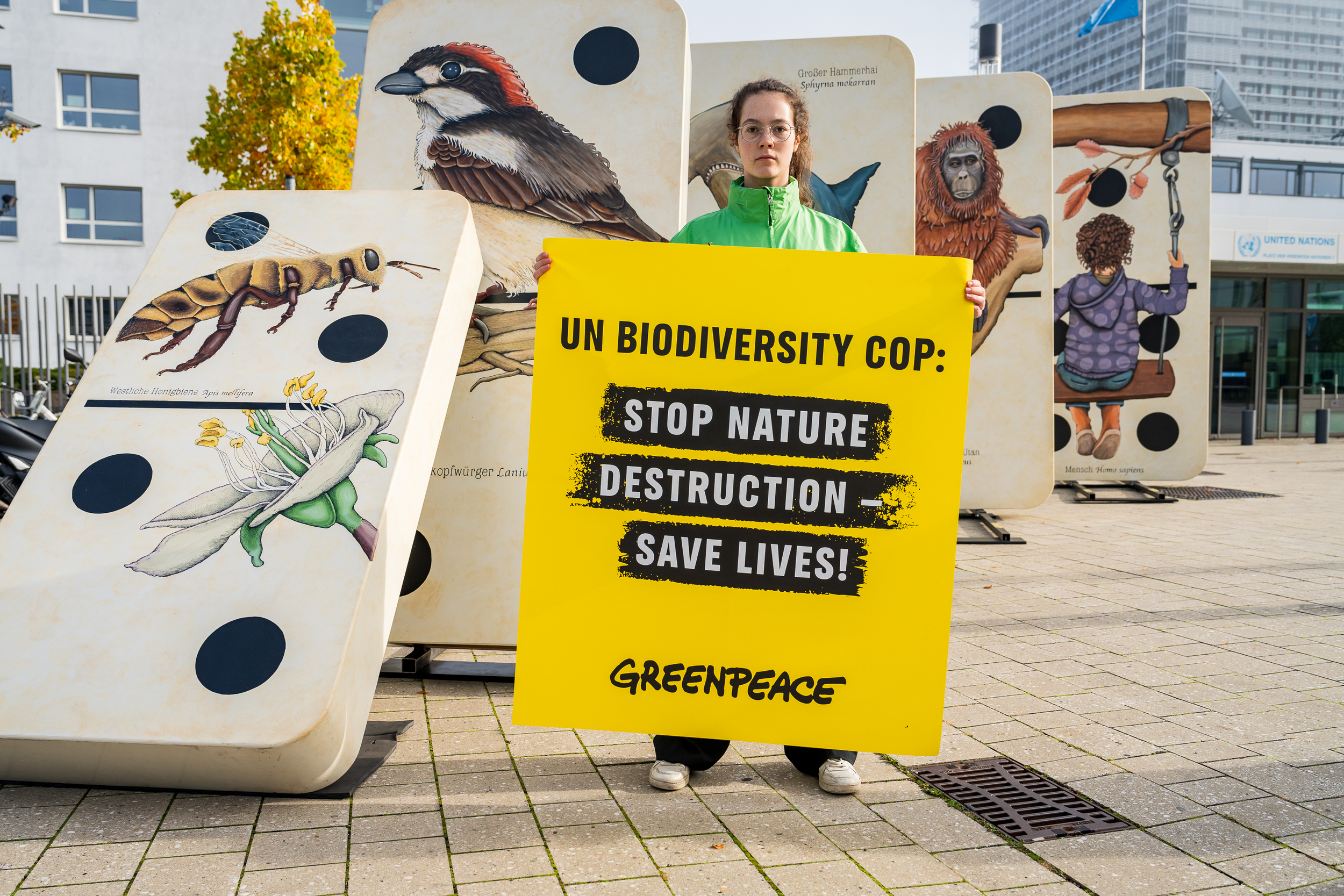 A woman stands with a full body sized placard reading UN Biodiversity COP Stop nature destruction Save lives! Greenpeace. Behind her is a row of giant dominoes with pictures of wildlife on them, one of them is leaning into the next