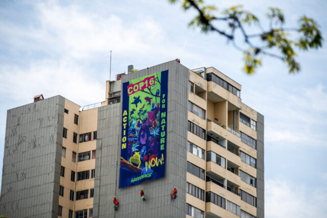 An apartment building with windows and balconies and a side wall covered in a wide banner seven storeys high, showing a blue and green design with the words COP16 Action for Nature NOW Greenpeace, with three climbers in red dangling from the bottom of it