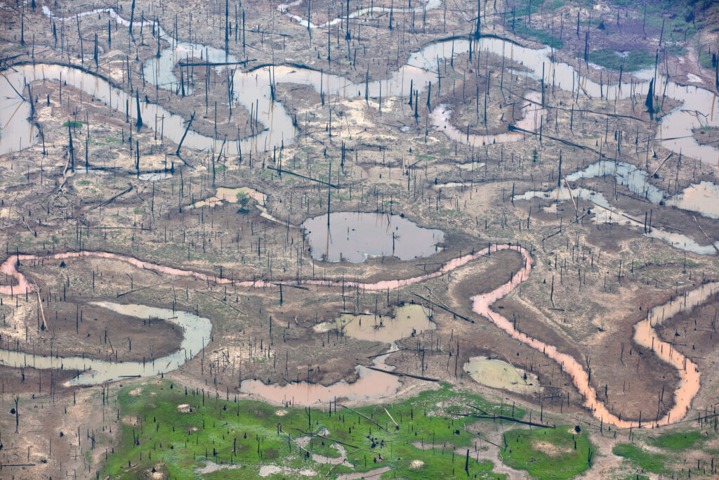 Aerial view of burnt forest in the Amazon with tree stumps visible. Pools of water can be seen as well.