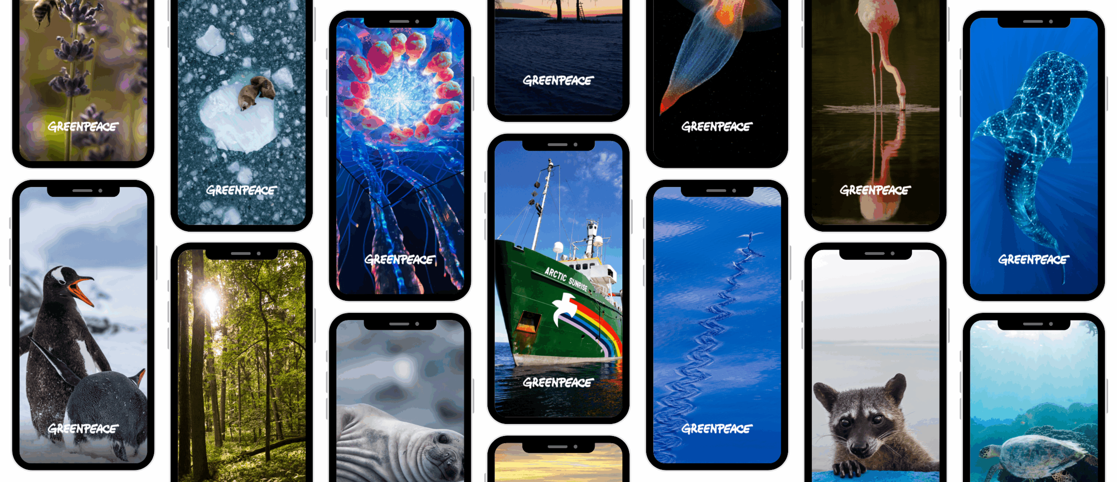 A montage of colourful nature themed phone wallpapers