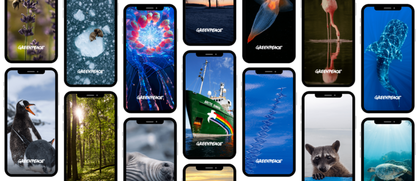 A montage of colourful nature themed phone wallpapers