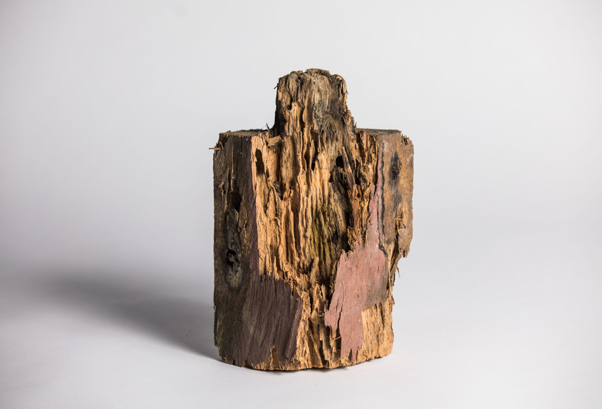 Broken piece of wood photographed against a white background