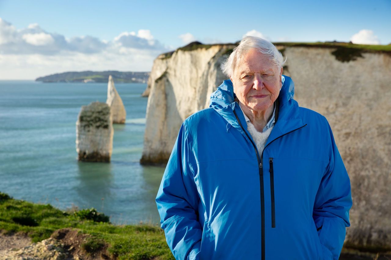 David Attenborough standing on a cliff above the ocean