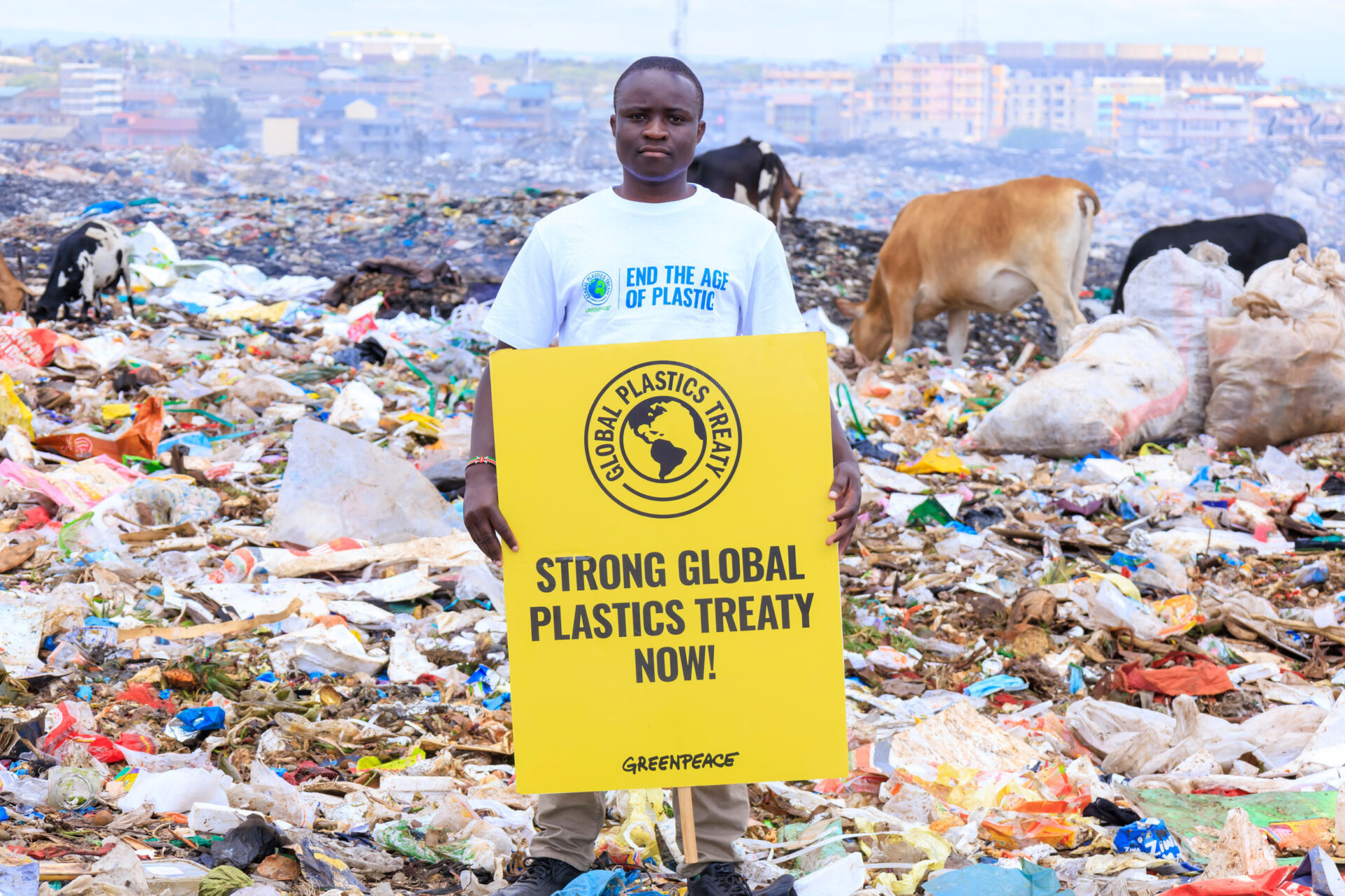 A campaigner stands in front of rubbish with cattle in the background holding a banner saying "Strong Global Plastics Treaty Now!"