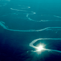 Helle Abelvik-Lawson