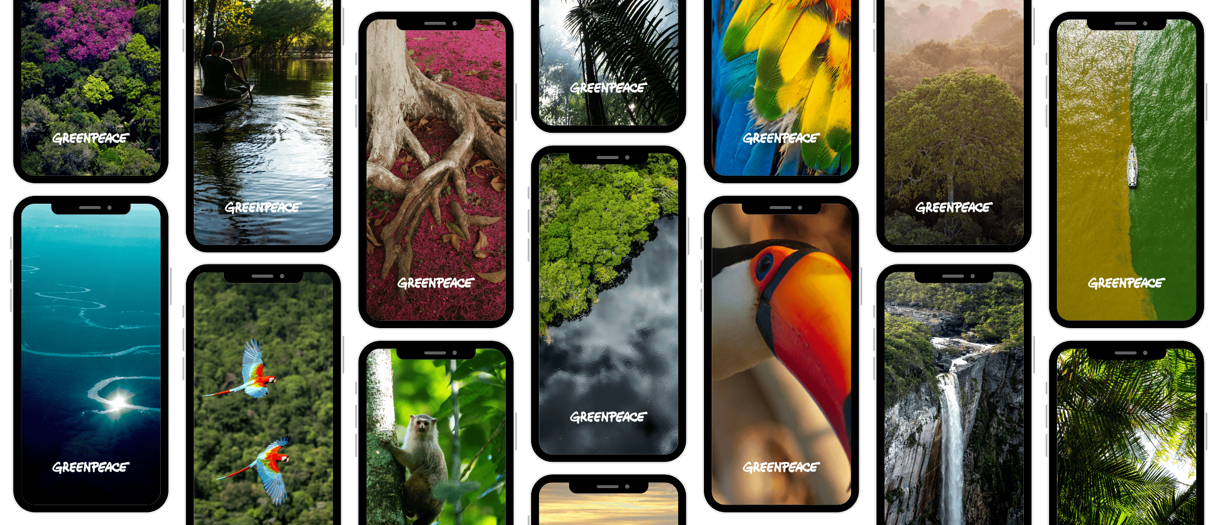 Montage of Amazon themed phone wallpapers showing the rainforest's natural beauty