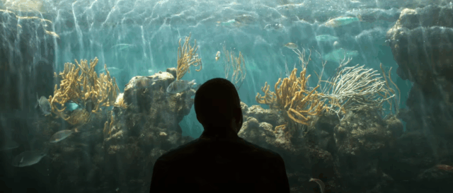 Person silhouetted against a beautiful aquarium