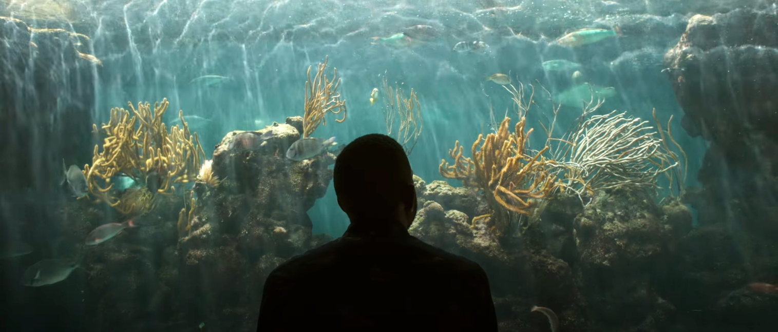 Person silhouetted against a beautiful aquarium