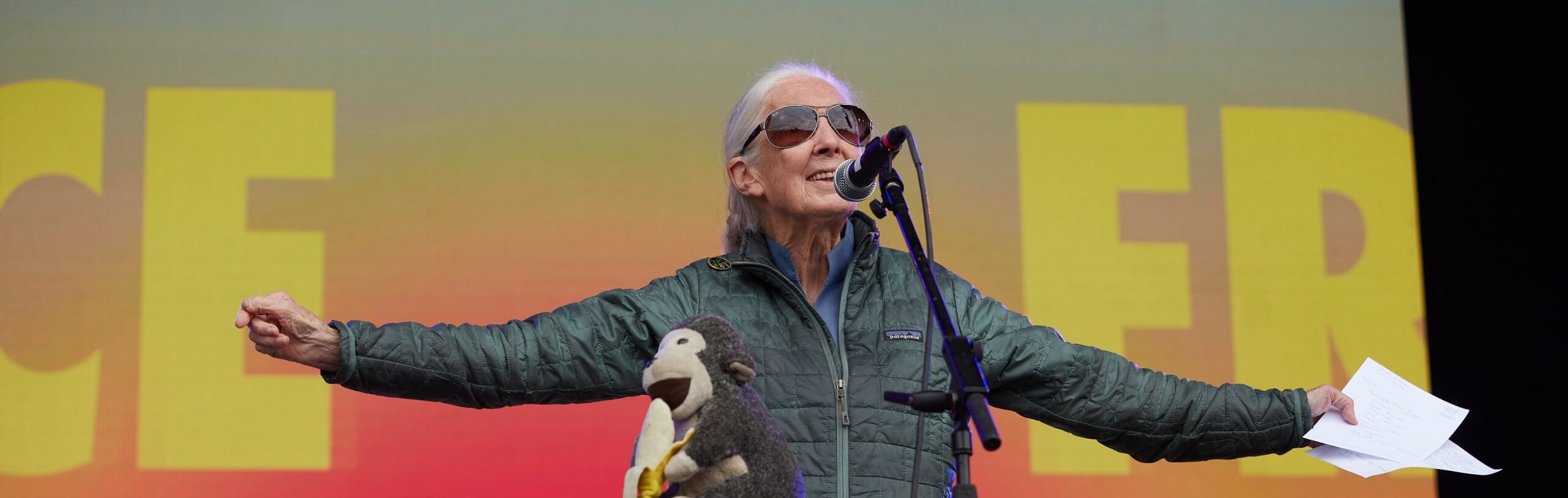 Greenpeace&#8217;s tribute to &#8220;conservation giant&#8221; Dr Jane Goodall