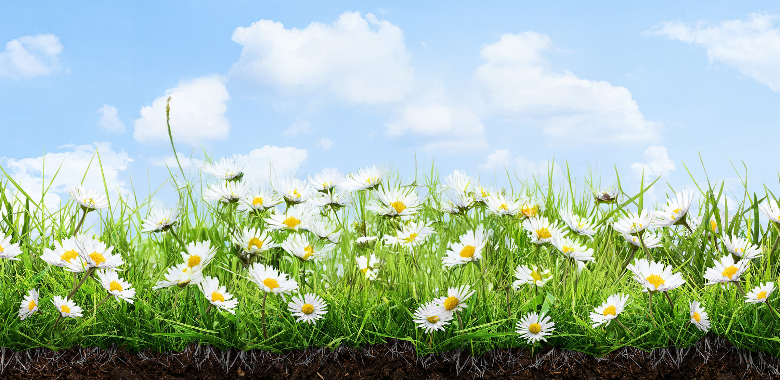 Be part of the fight that never dies